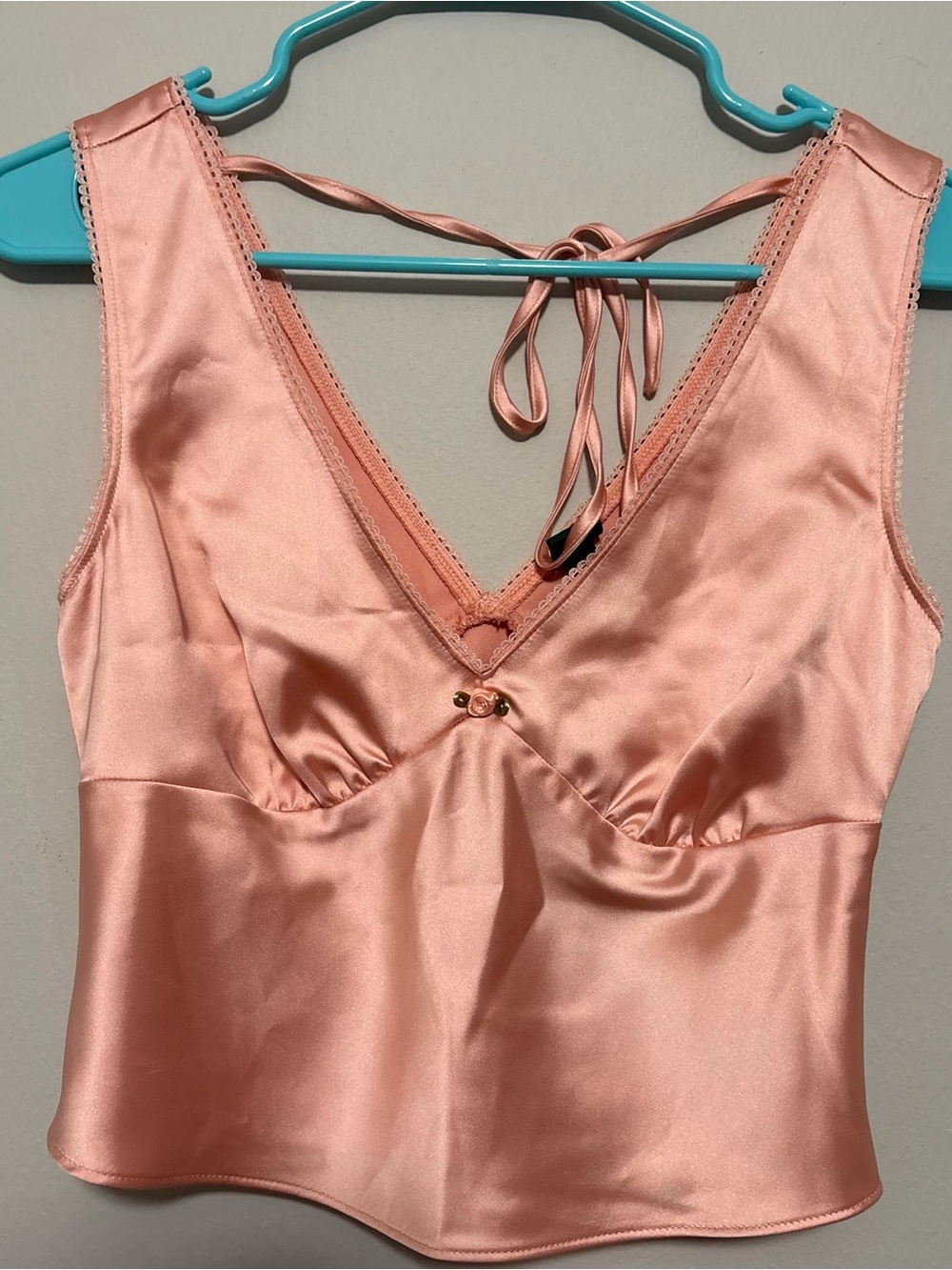 Peach Wild Fable Satin Rose V-Neck Top